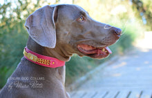 Load image into Gallery viewer, Designer Dog Collars