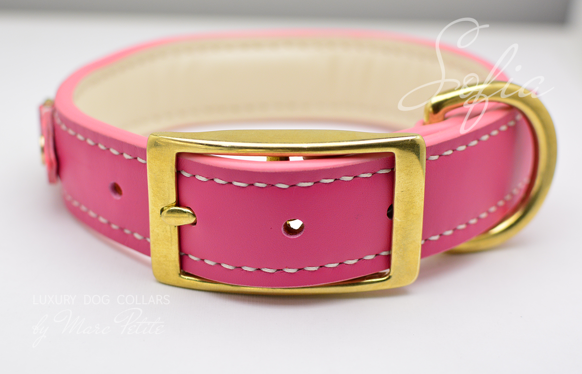 Soft Edges Dog Collar
