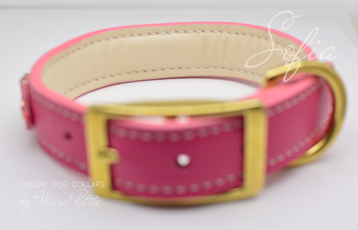 Soft Dog Collar