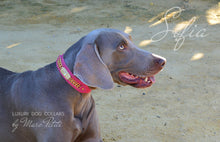 Load image into Gallery viewer, Royal Dog Collars
