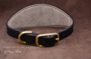 Dog Collar with soft pad