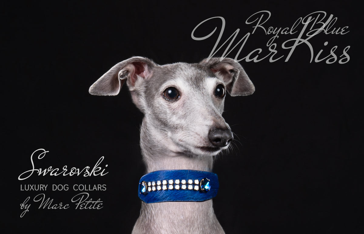 Designer Dog Collars by Marc Petite