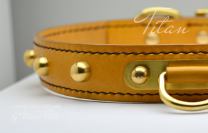 Vegetable leather dog collars