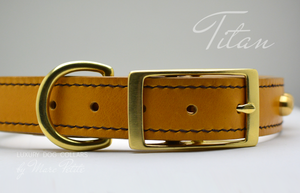 dog collars