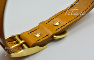 handsewn dog collar