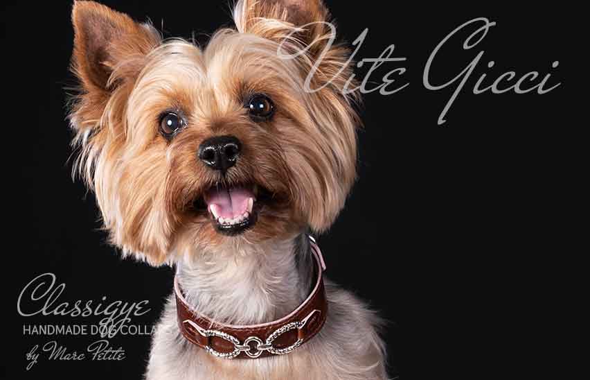 Strong Handmade &  Hand sewn leather dog collar