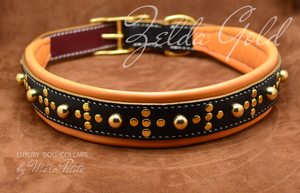 Dog collar for extra large dogs