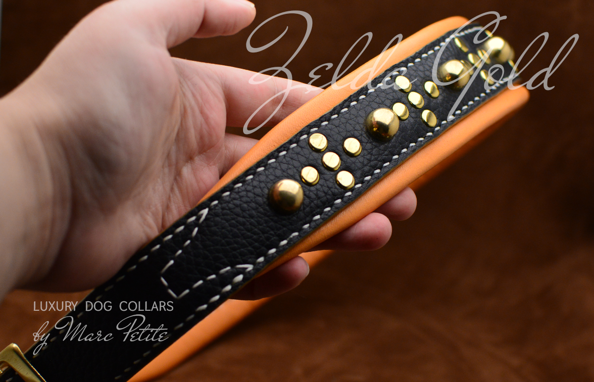 High quality dog collar