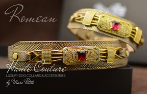 Designer Dog Collar - Gold Leather