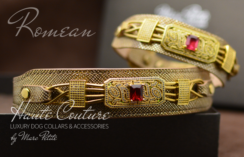 Romean - Gold Haute Couture Dog Collar - by Marc Petite