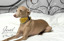Charger l&#39;image dans la galerie, Martingale Gold Dog Collar for Whippet