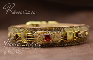 Luxury Dog Collar - Golden