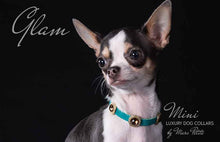Load image into Gallery viewer, Chihuahua collars