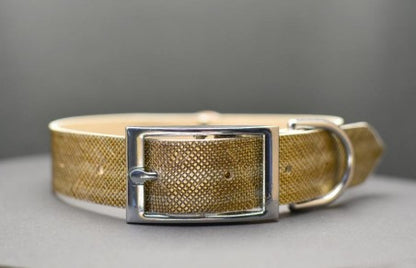 Fashion Dog Collar